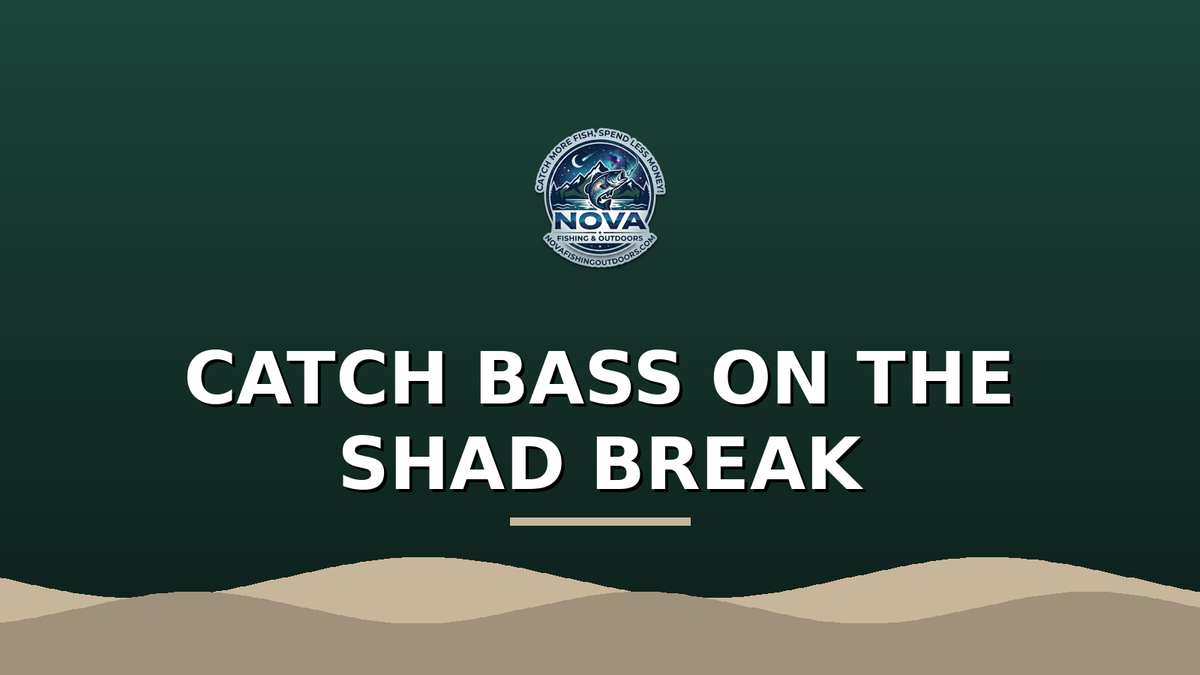 Shad Breaks: How to Catch Bass Busting Baitfish in Late Summer