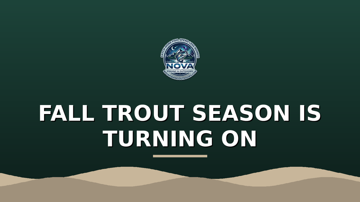Fall Trout Fishing: How Stocking Season Turns On the Bite