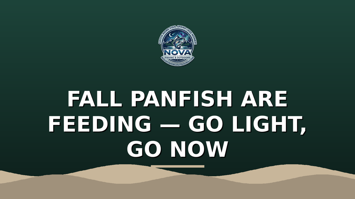 Fall Panfish Frenzy: Ultralight Tactics for Bluegill & Perch This September