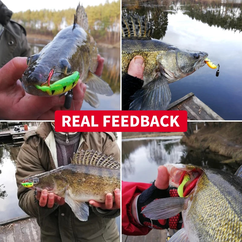 4.3" Cannibal Curved Tail Swimbait | 5-Pack Nova Fishing & Outdoors