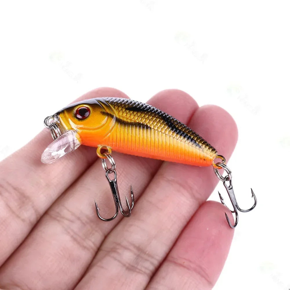 Ultimate Multi-Action Fishing Lure and Hard Bait Tackle Set Nova Fishing & Outdoors