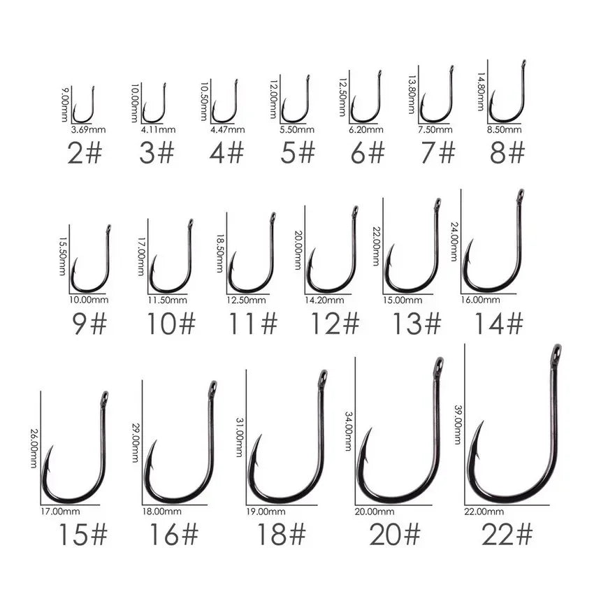 Nova Offset Circle Hooks – Sizes #1 to 5/0, Live Bait Fishing Hooks (20/50 Pack)