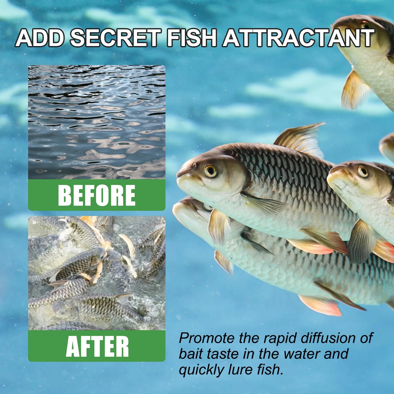 30ml Ultra-Concentrated Natural Scent Fishing Lure Liquid Attractant Nova Fishing & Outdoors