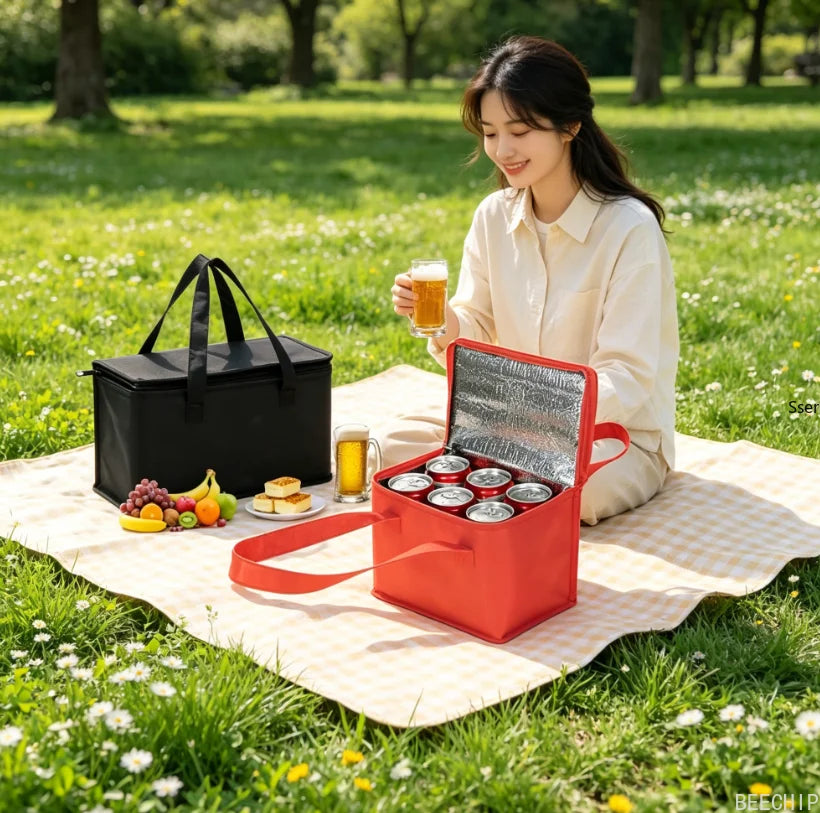 Collapsible Insulated Lunch Cooler Bag – Portable Food & Drink Carrier Nova Fishing & Outdoors
