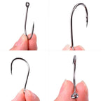 Nova Offset Circle Hooks – Sizes #1 to 5/0, Live Bait Fishing Hooks (20/50 Pack)