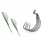 Nova EWG Worm Hooks – Bulk 100-Pack Wide Gap Offset Hooks for Texas Rig Bass Nova Fishing & Outdoors