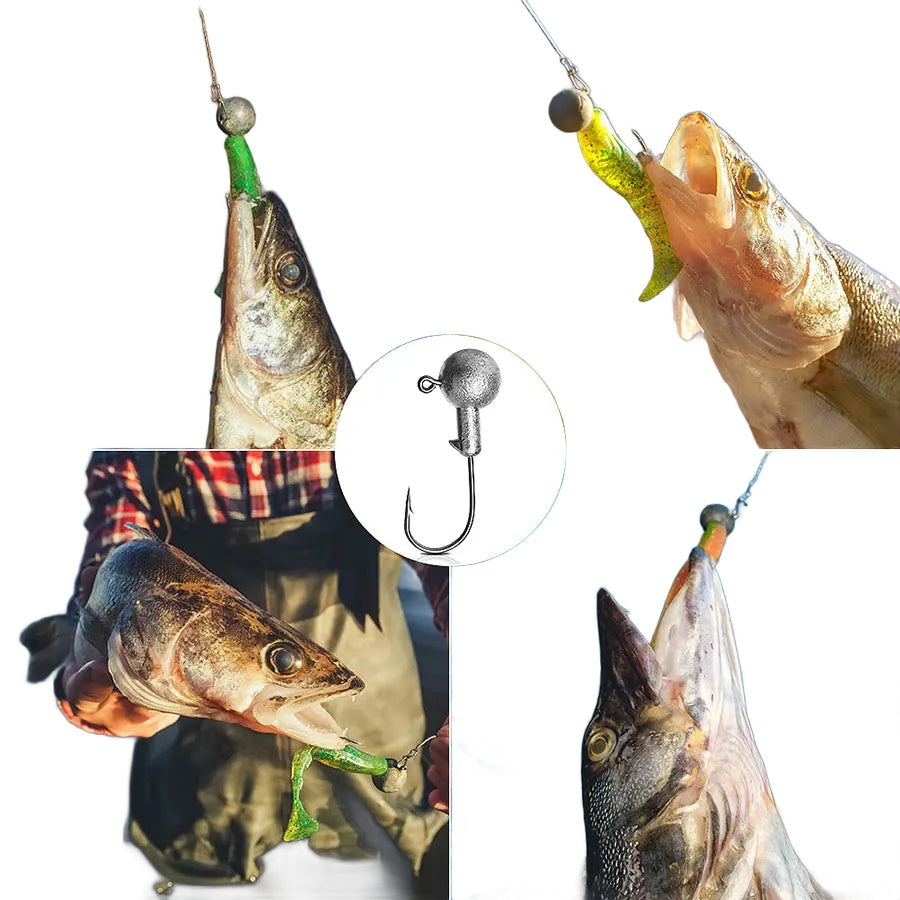 Jig Head Hook Assortment – 1g to 28g Weights for Soft Plastics Nova Fishing & Outdoors